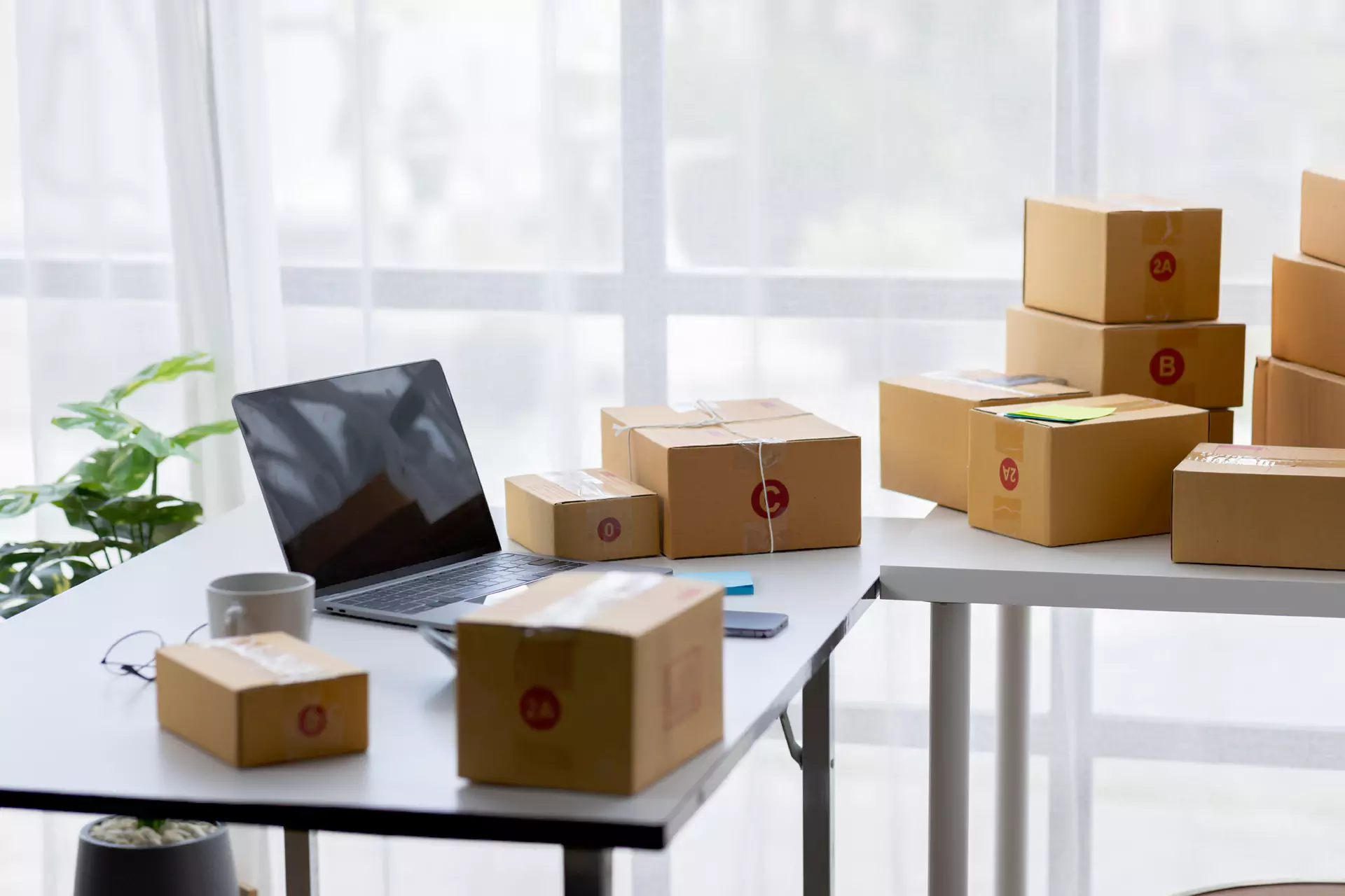 Assurance Responsabilité Civile Décennale - Dommages matériels